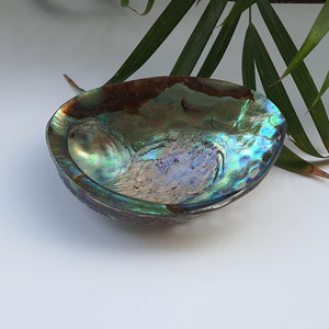 Abalone Shell (4.5 inches) (AS-05)