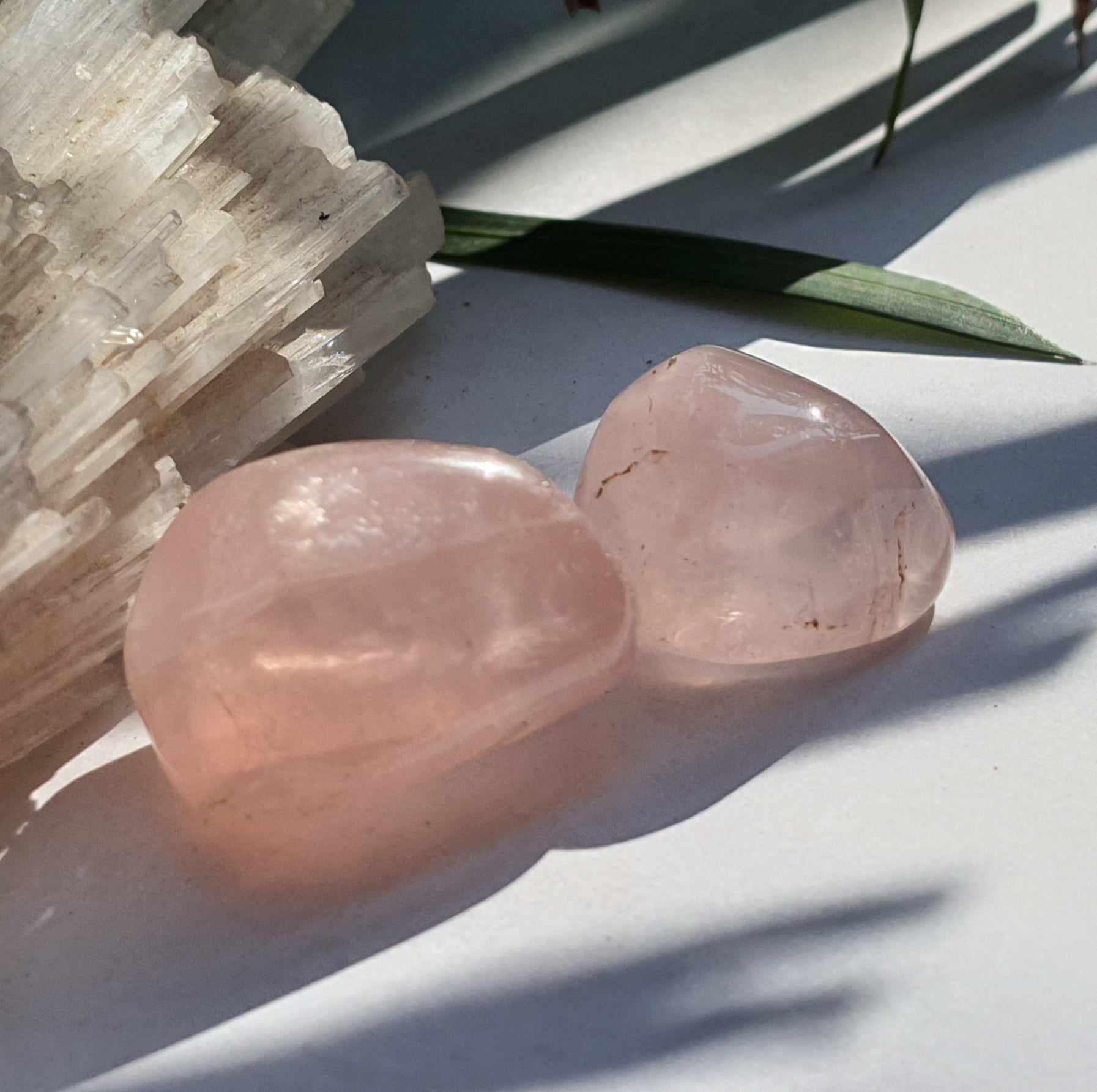 Rose Quartz Tumbles (Set of 4)