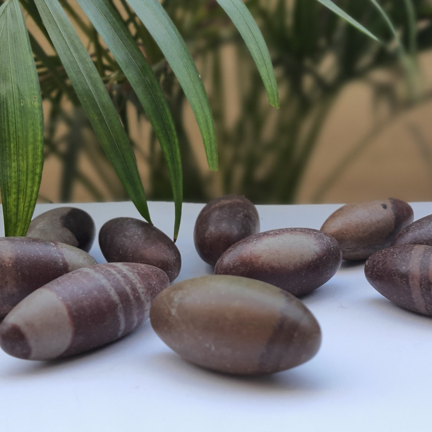 Shiva Lingam Stone (per piece)